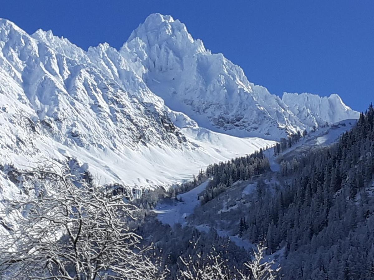 Chalets Pyrene Mont-Blanc Шамони Экстерьер фото